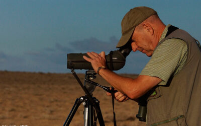 Avistamiento de aves